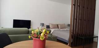 Апартаменты Mona Apartamentai Тельшяй-6